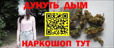 соль ск Славгород