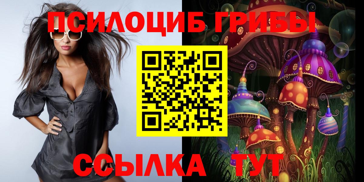 Псилоцибиновые грибы мицелий  Вход с VPN  Рубцовск 